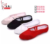 Special children s dance shoes Ballet soft bottom shoes for men and women for children two claws at