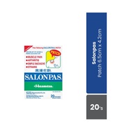 Hisamitsu Salonpas Patch 20's