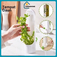 Vegetable Leaf Storage Container Herb Storage Onion Leaf Container YosanHome