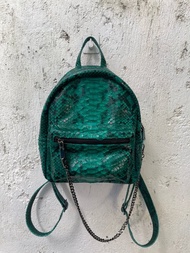 蛇皮背包、綠色皮革背包