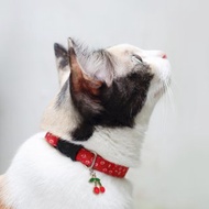 Secret Garden breakaway cat collar : Red with Cherry charm (Add-on)