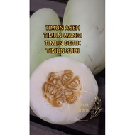 BENIH TIMUN ACEH/TIMUN BETIK/TIMUN SURIककड़ी महिला/黄瓜女士 [50 PCS]