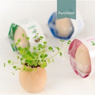 [SG Seller] - Mini Egg plant for children's day teacher's day birthday goodie bag Gift