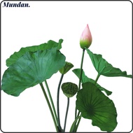 MUNDAN Artificial Flower, Landscape Long Stem Artificial Lotus, Lotus Pod Artificial Flower Pole Lot