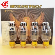 WE6CA7 Vacuum Tube Upgradat EL34 6L6 KT88 6P3P 6CA7 Electronic Tube Amplifier Kit Vintage Hifi Audio