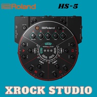 Roland HS-5 - Session Mixer Audio Interface (HS5)
