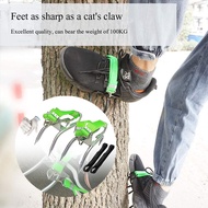 Fast Climbing Coconut Tree Tool Tree Pole Climbing Spike Set 2 Gears Steel Claw Climbing Tree Spikes
