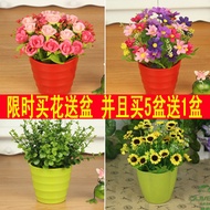 Colored plastic flower pot potted artificial flowers silk flowers artificial flowers plastic flowers