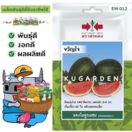 SORNDAENG 🇹🇭 ผักซอง ศรแดง แตงโม ขวัญใจ W012 เมล็ดพันธุ์ เมล็ดพันธุ์ลูกผสม เมล็ดพันธุ์ผัก ผักสวนครัว ผักศรแดง