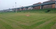 掃墓祭祖、代客除草、清明掃墓、代客割草、清明節、代割墓草、墓園整理、代客掃墓、墓園清洗、殺青苔、金字、鋸樹、修圍籬