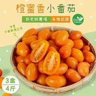 【禾鴻】郭老師農場有機認證橙蜜香小番茄禮盒4斤x3盒(淨重不帶蒂頭出貨)【預購】