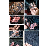Chicken fence net, duck fence net, enthok fence net