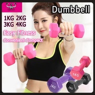 Dumbbell 1kg/2kg/3kg/4kg Lady Hexagon Dumbell Small Dumbell Weight Training Workout Gym Fitness Exer