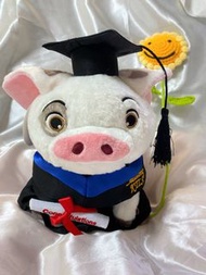 市面絕少有！又有新款啦🍭moana #海洋奇緣 #pua豬畢業公仔🐷🐷🐷 客製化 可以加錢繡字