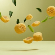 【端午綠豆糕禮盒】羽藏冰豆糕-苗栗桂花 (奶素可食用)