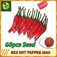Red Hot Pepper Seeds | Chili Seeds | Sili Seeds | Siling Pula | Siling Red | Vegetable seeds | Golde