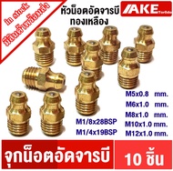 หัวอัดจารบี ทองเหลือง M5 M6 M8 M10 M12 M1/8x28BSP M1/4x19BSP น็อตอัดจารบี ( 10 ชิ้น ) น็อต จุกตุ๊กตา