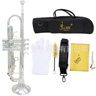 Trumpet Brass Instrument Trumpet Student Performance Trumpet Drop b Trumpet Instrument Brass Horn