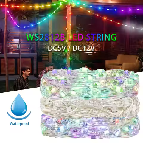 WS2812B RGBIC LED Strip String Copper Wire WS2812 Individually Addressable Party Wedding Garland Dec