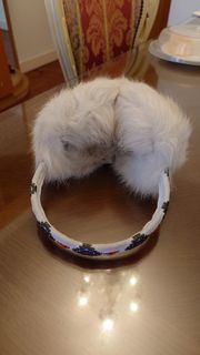 Rosebud Winter Ear muff