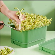 Bean Sprout Tray for Growing Sprouts at Your Own Drip Irrigation, Bean Sprout Tray with Convenient L