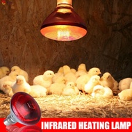 250 Watts R40 Red Heat Lamp Flood Light Infrared Heating Bulb For Swine &amp; Poultry