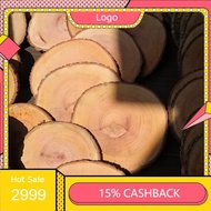 Wood slice diameter size 15-16 cm hot selling wood slice FNX2 BF9