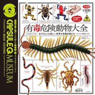 海洋堂 Kaiyodo CapsuleQ 有毒危險動物大全 （全8種）毒蛇 蠍子 藍環章魚 烏賊 八爪魚 魷魚 箭毒蛙 青蛙 毒蜘蛛 蜈蚣 百足蟲  海洋生物昆蟲 陸地生物 日本的 動物 模型 手辦 