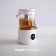 olayks health pot camping fruit wine barrel flower tea barrel constant temperature health pot home c
