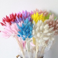 30pcs/lot Real Touch Artificial Flowers Wedding Decorative Flowers Natural Rabbit Tail Fake Flowers