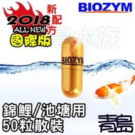 九月缺Y。青島水族。BC302-50美國BIOZYM百因美-國際版 多功能硝化益菌 硝化菌==錦鯉/池塘用-散裝50粒