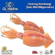 [Wholesale][Trusted Grocery] Frozen Sotong Kembong 1pcs [ Saiz 500GM / 550GM /ekor ]
