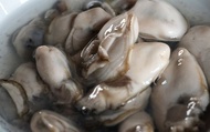 【澎湖鮮凍去殼牡蠣150g×2盒】鮮嫩肥美的海中牛奶超營養 火鍋必備海鮮