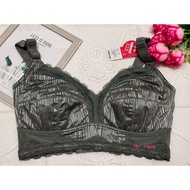 34F/75F SHIKEEN PLUS SIZE BRA - NON-WIRED 5 HOOKS