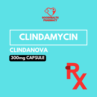 CLINDAMYCIN CLINDANOVA 300mg (1 TABLET)