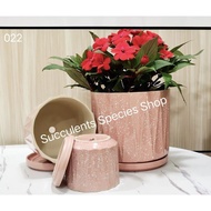 Pink Ceramic Flower Pot with plate - L size pot 粉色大号陶瓷花盆