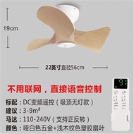 Silent Child-Friendly Nordic Style Ceiling Fan 22inch