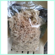 ◪ Sphagnum Peat Moss (100g)
