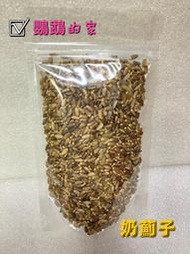 【鸚鵡的家】奶薊子，點心/零食/補品/護肝/水飛薊.鳥.鸚鵡.鼠.兔.小動物保健品