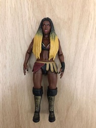WWE Action Figure