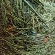 Timothy Hay 1KG - 5KG