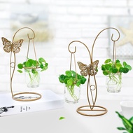 European Creative Unique Green Dill Hydroponic Plant Glass Vase Living Room Decoration Container Sma