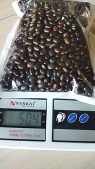 1KG benih biji kacangan MB Lokal Super (Mucuna Bracteata) COVER CROPS LCC tanaman pengendali gulma p