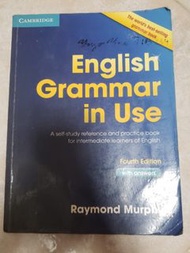 English grammar in use