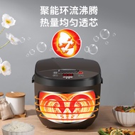 Smart Rice Cooker Small Liter 1-3-6 Rice Cooker Multifunctional Hemisphere Cooker Household Rice Coo