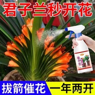 JD🥦CM Clivia Special Fertilizer Nutrient Solution Household Orchid Flower Cultivation Organic Fertilizer Pot General-Pur