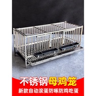 Sangkar ayam keluli tahan karat yang diperkuat, sangkar ayam pengeluar telur automatik, sangkar ayam