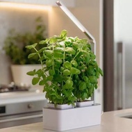 INDOOR HYDROPONIC GROWLIGHT MT-1300 | SISTEM HIDROPONIK TANAMAN