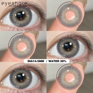 eyeshare contact lens 2pcs gray contact lenses ATLANTIS Eye Seri 14.5MM Rimless with free lens case