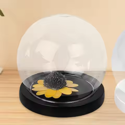 Glass Cloche Dome Valentines Day Gifts Cloche Bell Jar Showcase for Her Centerpieces Home Glass Dome